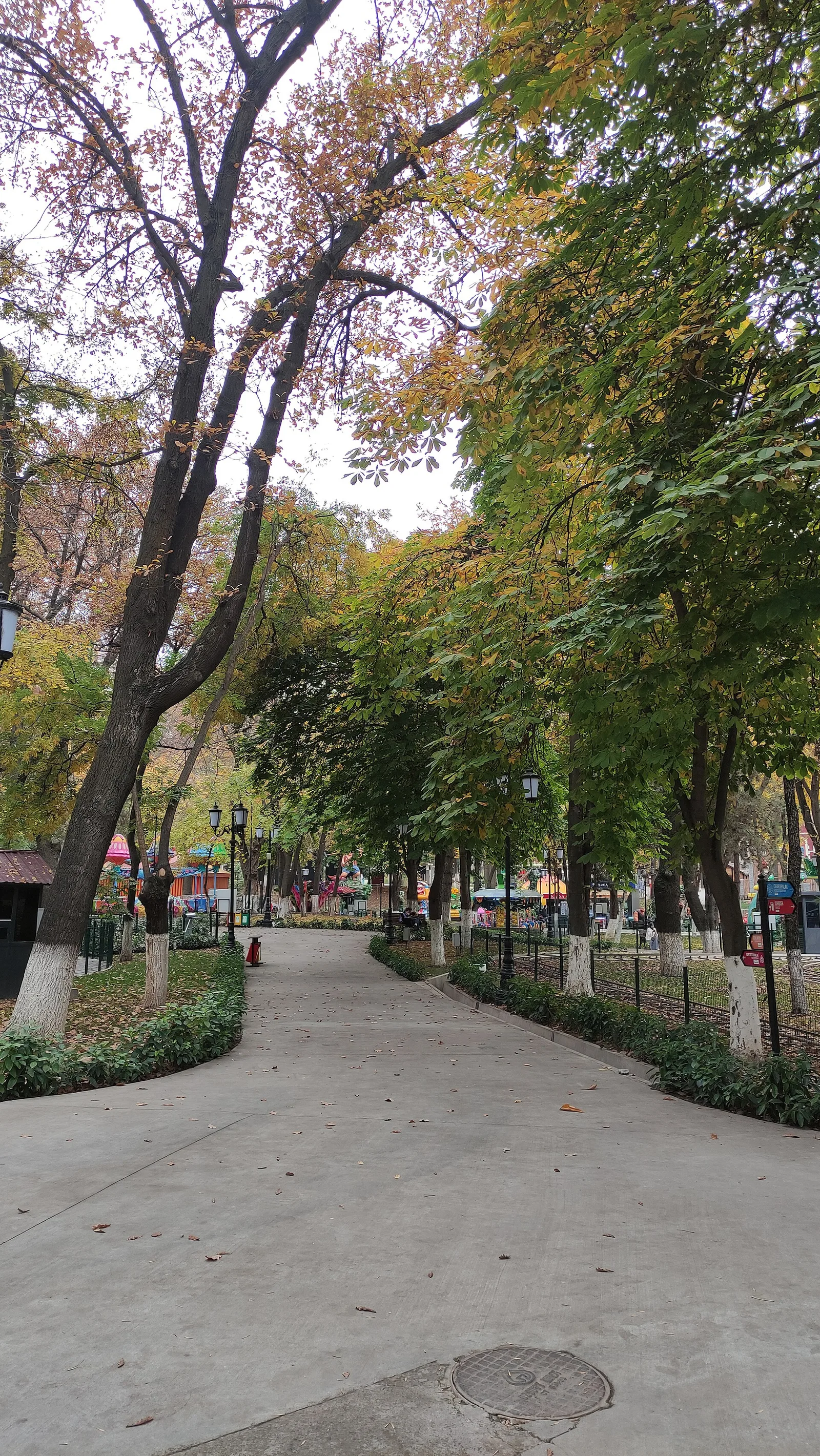 Dream Park — 2-rasm