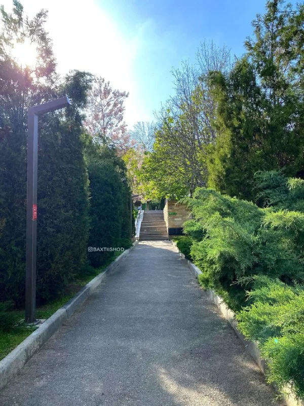 Eko park va Markaziy park — 2-rasm