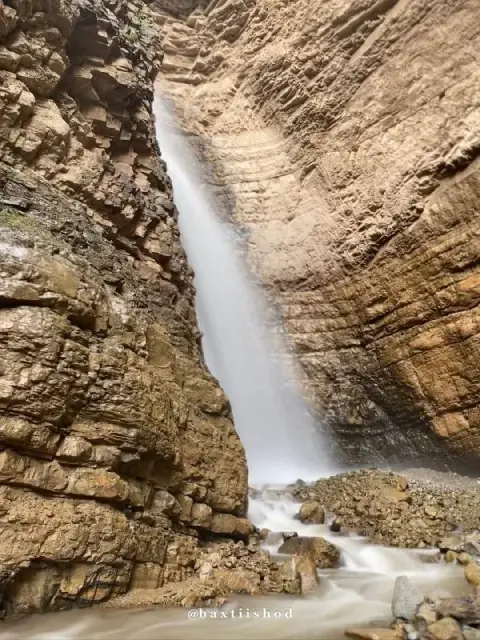 Paltau sharsharasi