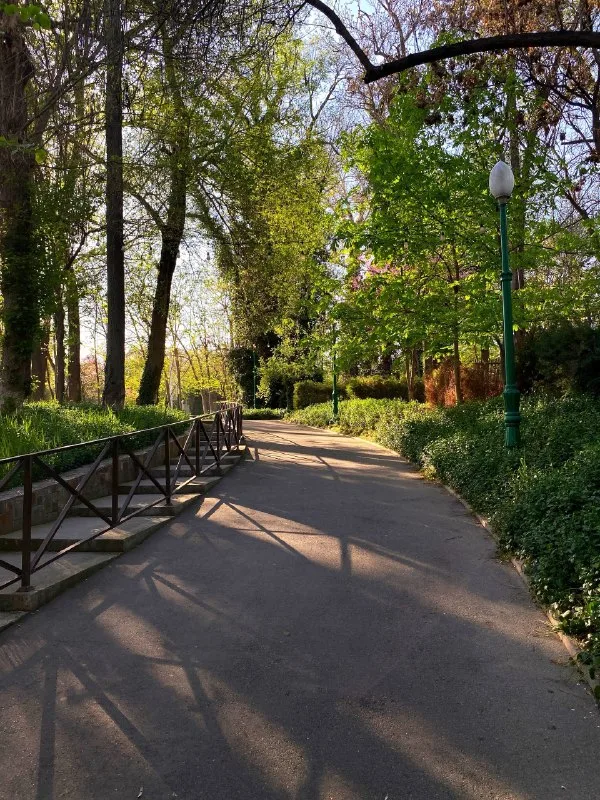 Eko park va Markaziy park — 5-rasm