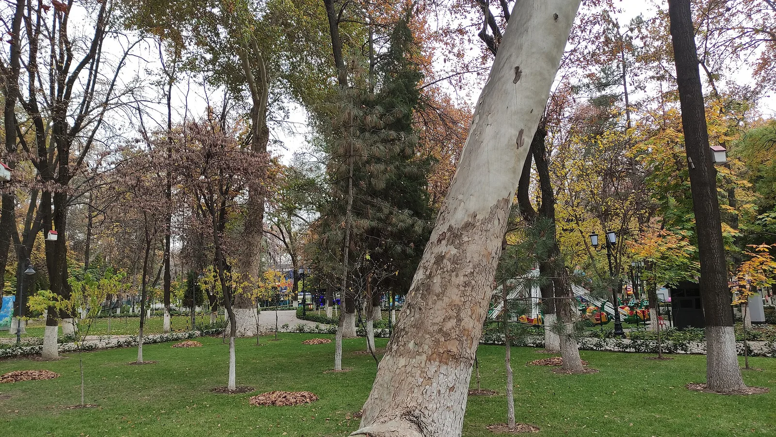 Dream Park