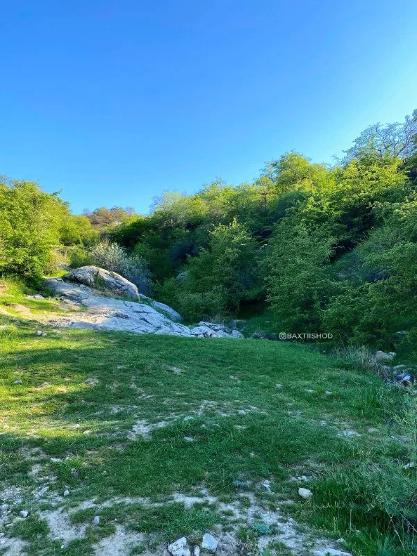 Qo‘ng‘irbuqa tepaligi (Chorvoq) — 5-rasm