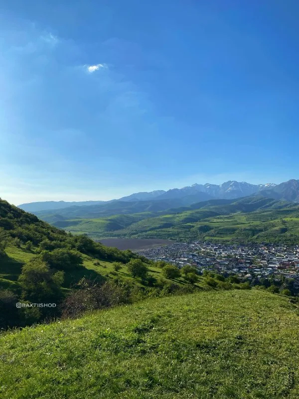 Qo‘ng‘irbuqa tepaligi (Chorvoq) — 4-rasm