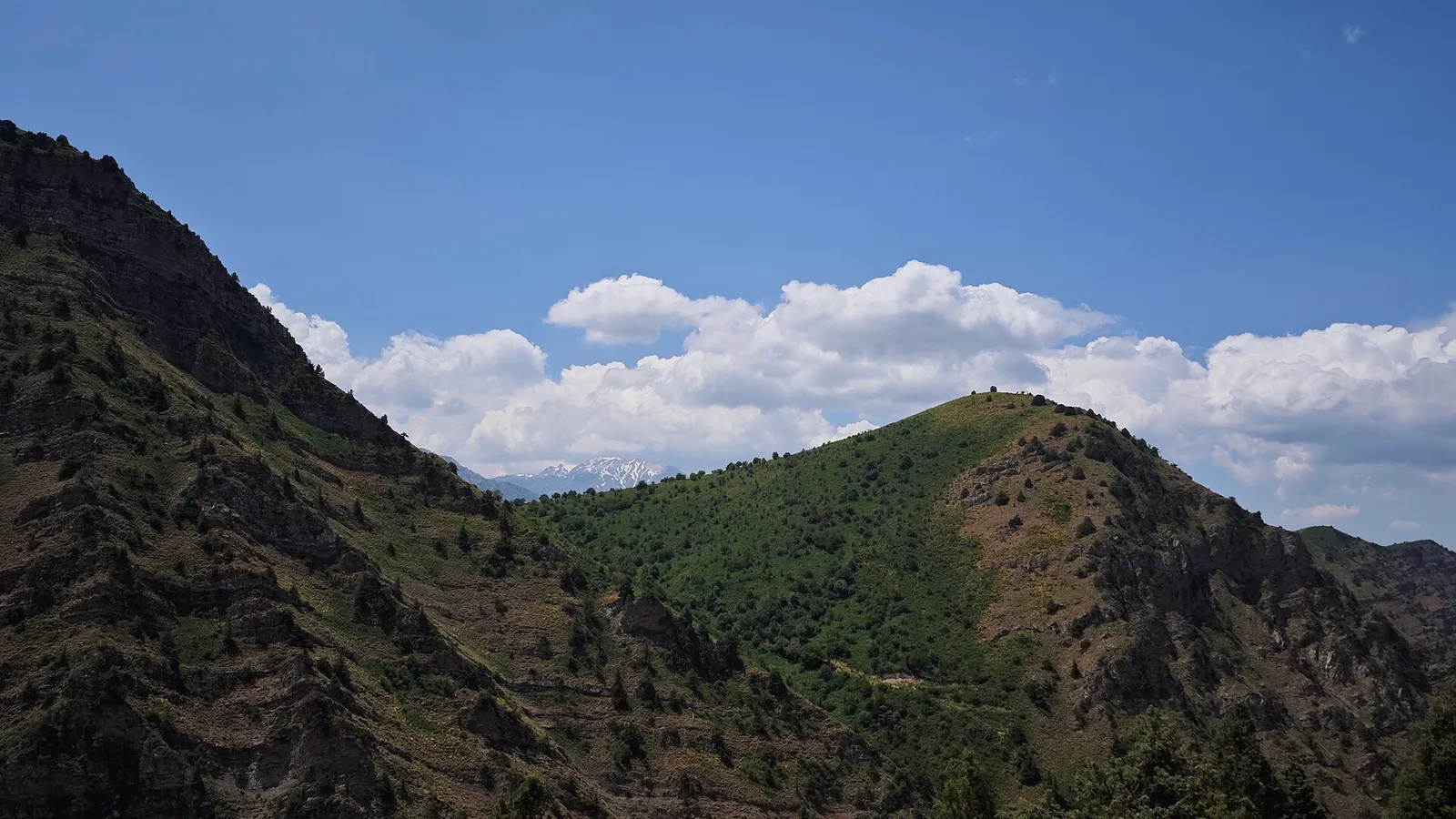 Qoratutboshi tog‘i (orqa tomoni)