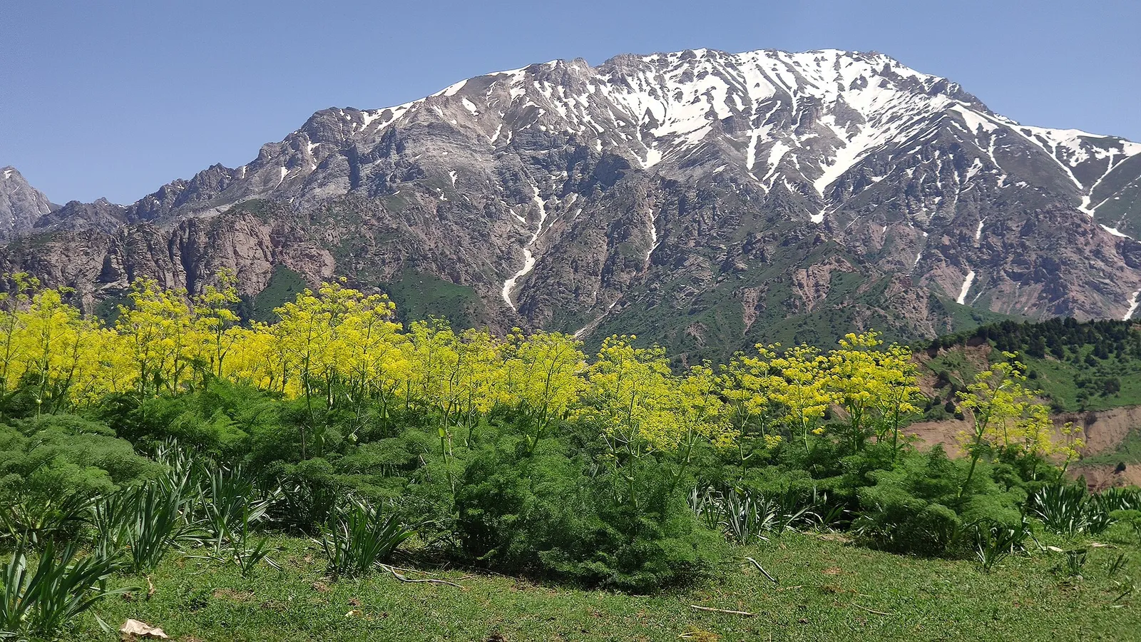 Qiziljar tog‘i