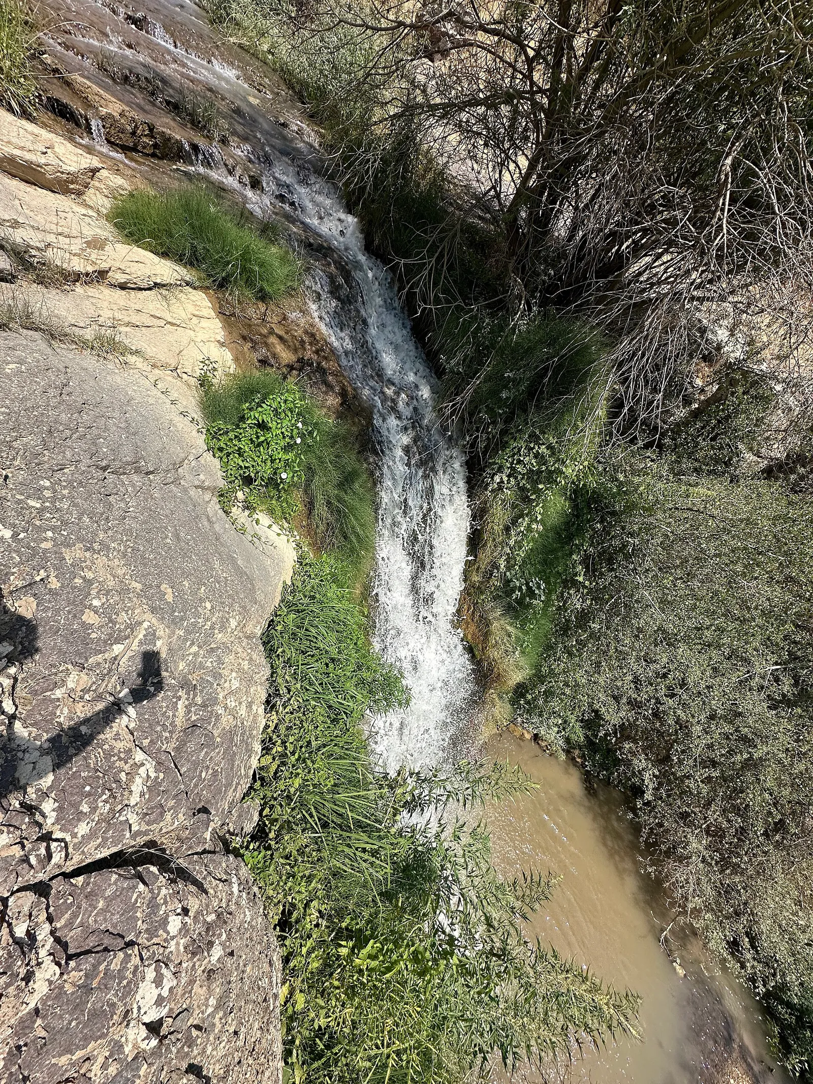 Toshgul sharsharasi